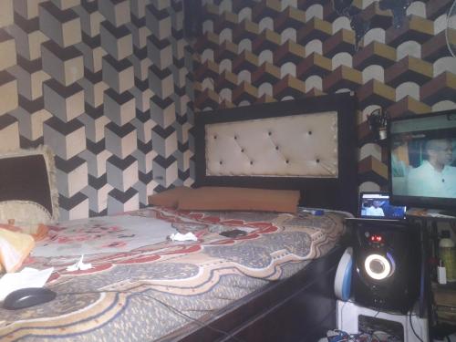 HārerPaw's Cozy room的一间卧室配有一张床和一台电视。
