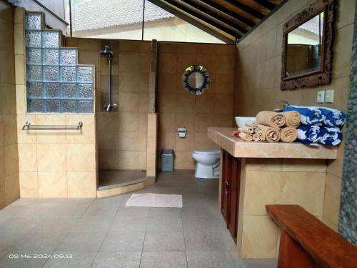 甘地达萨库拉库拉别墅的带淋浴、盥洗盆和卫生间的浴室