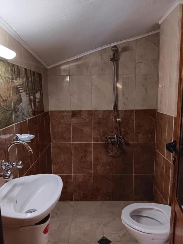 科普里夫什迪察Хотел Дончо Войвода的带淋浴、卫生间和盥洗盆的浴室