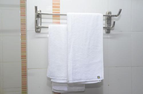 亚历山大New Siesta Hotel & Resort的浴室内毛巾架上挂着两条白色毛巾
