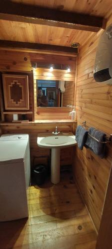 圣皮耶尔代勒福尔卡Logement cosy au pied des pistes的一间带水槽和镜子的浴室