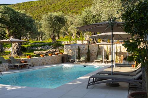 乌尔齐尼MASHTRA - The Olive House的一个带椅子和遮阳伞的游泳池