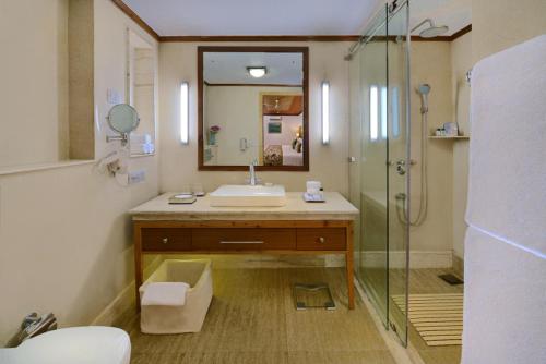 斯利那加Fortune Resort Heevan, Srinagar - Member ITC's Hotel Group的一间带水槽和淋浴的浴室