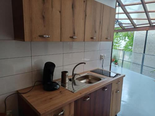 坎普朗莫道尼斯Runk House的厨房配有水槽和带水槽的台面