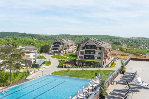 维尔蒂尼克Fruške Residences的享有带游泳池的度假村的空中景致