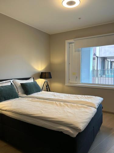 奥斯陆An elegant and exclusive apartment in Bjørvika Oslo的一间卧室设有一张大床和窗户