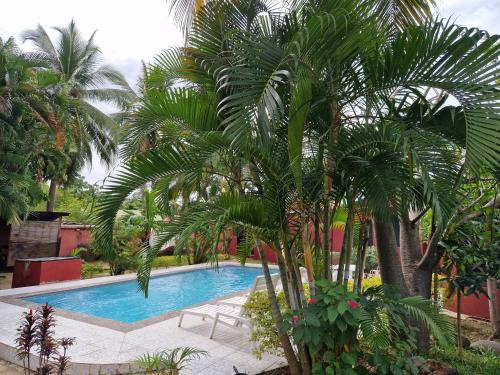 贝岛Bungalow chez Mouch Nosy-Be 2的庭院内棕榈树游泳池