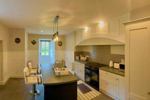 Ross Cross RoadsSkryne Castle的一间大厨房,配有白色的橱柜和水槽