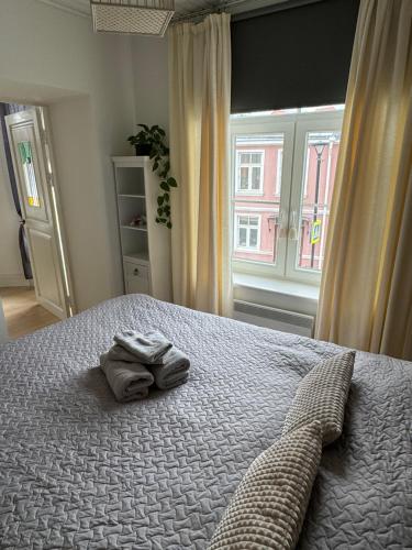 哈普萨卢Karja Apartment with sauna的一间卧室配有一张床,上面有两条毛巾