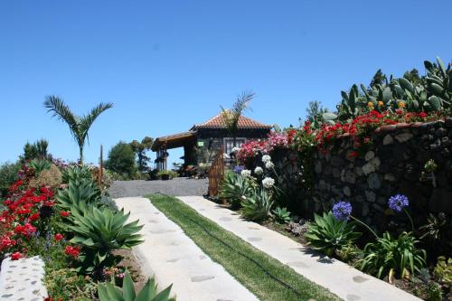 蒂哈拉费法德度假屋的鲜花和石墙花园