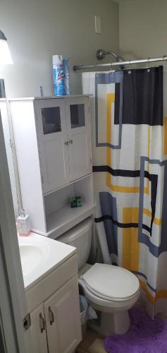 诺伍德One Bedroom Apartment in Norwood的一间带卫生间和淋浴帘的浴室