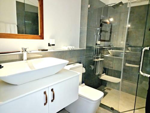 尼甘布Ocean view luxury apartments的一间带水槽、卫生间和淋浴的浴室