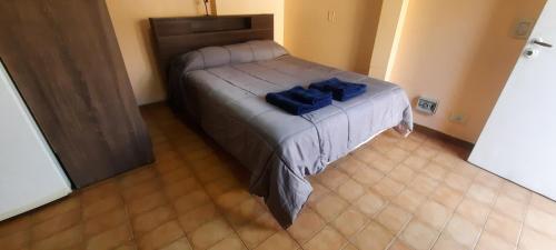门多萨Departamento en Mendoza Capitál的一间卧室配有一张带蓝色枕头的床。