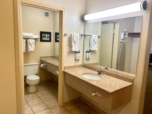 斯皮尔菲什斯皮尔菲什会展中心假日酒店的一间带水槽、卫生间和镜子的浴室