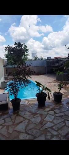 阿纳波利斯Espaço Lazer Ramos的庭院里一座种植了两盆植物的游泳池