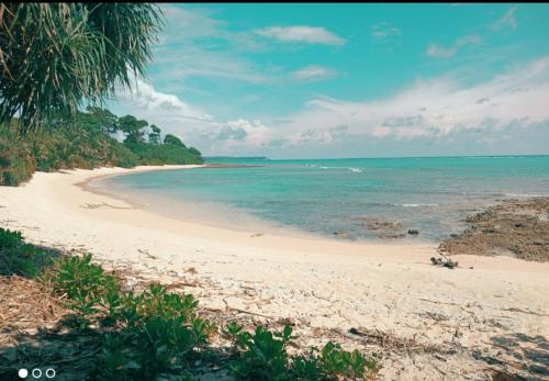 尼尔岛Mallick Palace的棕榈树和海洋的海滩