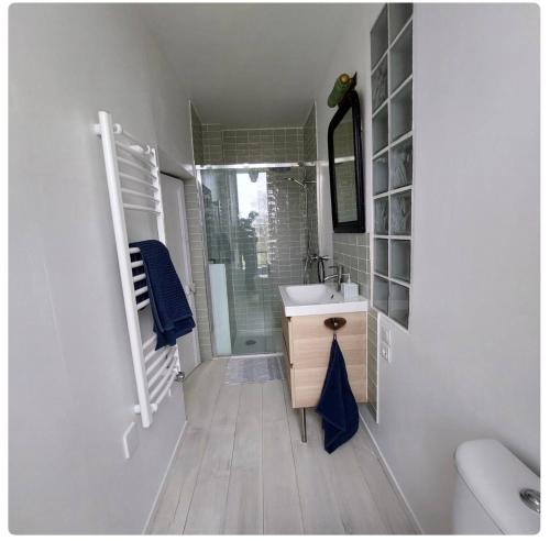 Saint-Amand-JartoudeixLe Clos Saint Roch的一间带水槽、淋浴和镜子的浴室