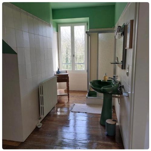 Saint-Amand-JartoudeixLe Clos Saint Roch的一间带绿色水槽和窗户的浴室