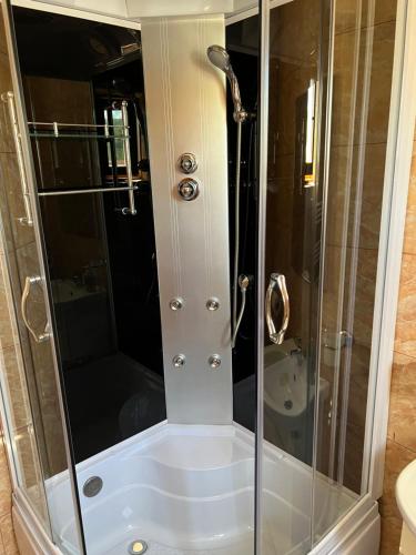 特尔古奥克纳Popas Turistic Terasa Europa的浴室内带玻璃淋浴间