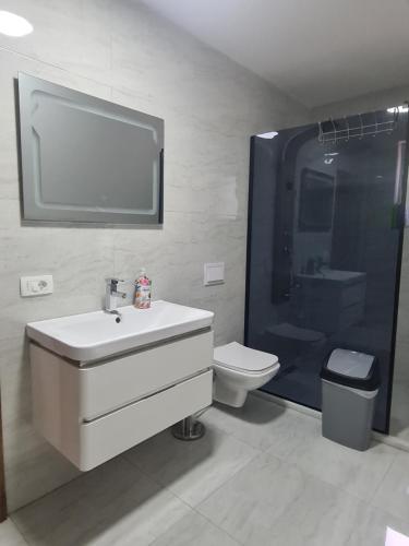 乌罗舍瓦茨Villa Ozoni 2 - Jezerc的一间带水槽和卫生间的浴室以及一台电视。