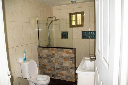 南迪Fijian Homestay - 3 bedroom house的带淋浴、卫生间和盥洗盆的浴室