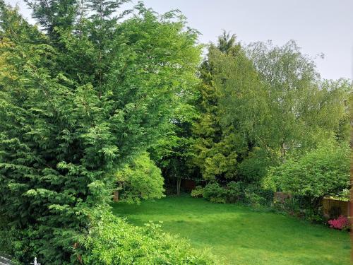 惠灵顿Charming 1 bedroom self-contained flat.的绿树成荫的院子和绿地草坪
