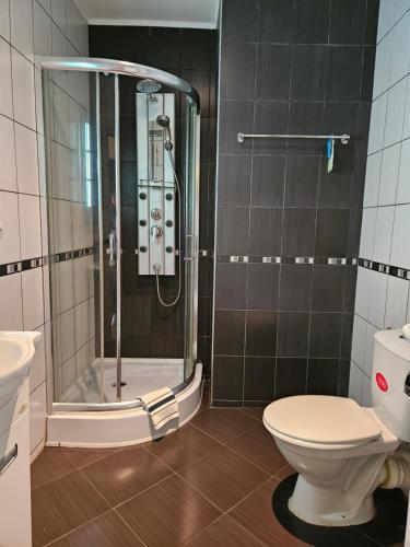 贝尔科维察Family Hotel Komhotel的带淋浴和卫生间的浴室