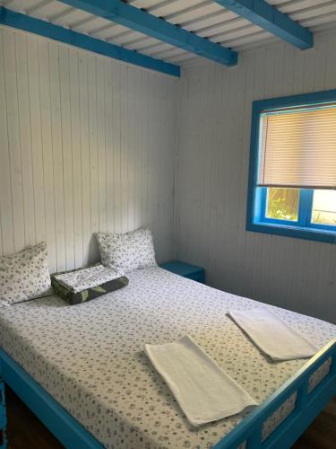 穆里吉奥尔Popas Turistic Alex的一张带两个枕头的床和一个窗户