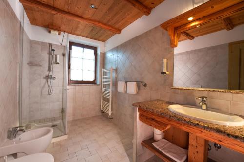 克拉尼斯卡戈拉Gostilna Pri Martinu的一间带水槽、淋浴和卫生间的浴室