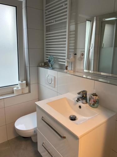巴特施瓦尔陶Maja Appartement的一间带水槽、卫生间和镜子的浴室