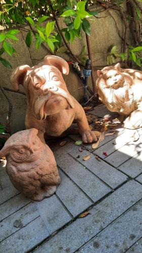 圣焦万尼瓦尔达尔诺San Lorenzo 66的躺在地上的狗雕像