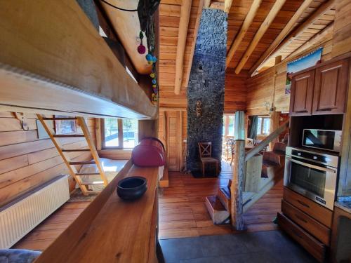 拉斯特朗卡斯Rocanegra Mountain Lodge的一间小房子的客厅,里面设有木墙