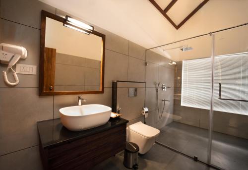 提喀迪Coffee and Pepper Plantation Homestay的一间带水槽、卫生间和镜子的浴室