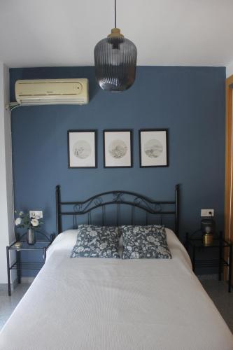 马拉加Apartamento en Ciudad Jardin的一间卧室配有一张蓝色墙壁的床