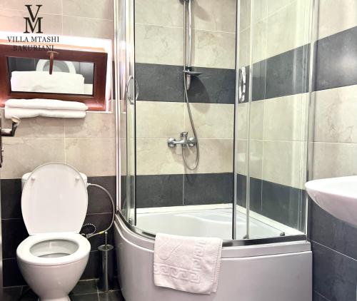 巴库里阿尼Villa Mtashi的带淋浴、卫生间和盥洗盆的浴室