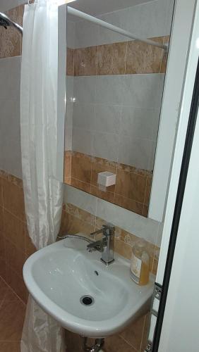 桑丹斯基Strumyani tiny flat的带淋浴的浴室内的白色水槽