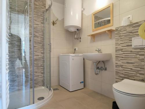 波希基斯卡贝拉Apartma pr´ Štengarju的带淋浴、卫生间和盥洗盆的浴室