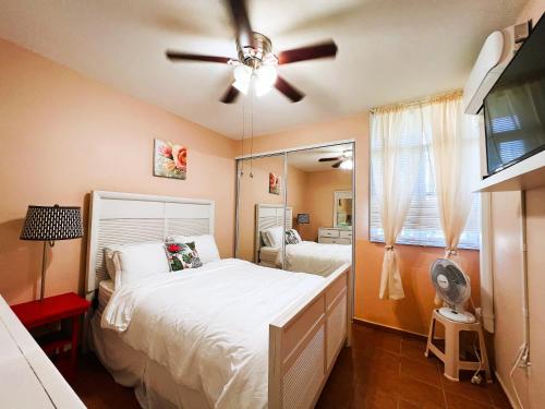 Vega Alta3 BR Villa Tranquilidad的一间卧室配有一张床和吊扇