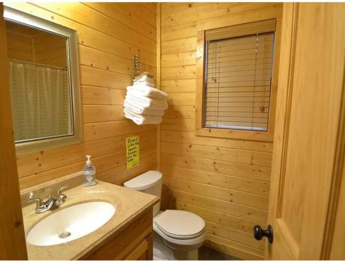 Heber SpringsLittle Red Riverfront Cabin的一间带水槽、卫生间和镜子的浴室