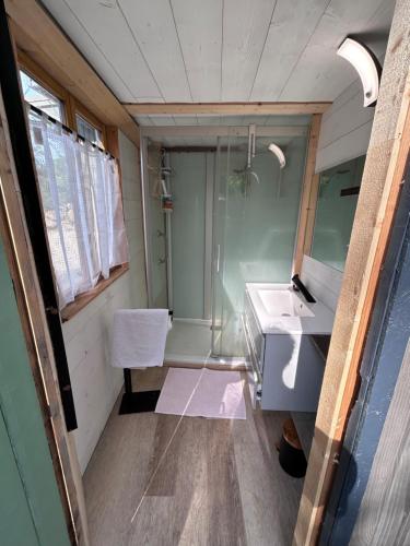 普洛埃默Cabane dans les bois vue sur ruisseau的一间带水槽和镜子的浴室