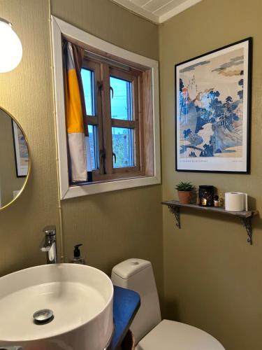 AveroySveggvika Atlantic Home的一间带水槽和卫生间的浴室以及窗户。