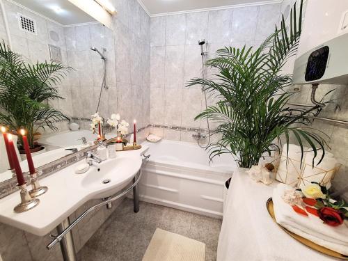 埃格尔Albina apartman的浴室设有水槽和植物浴缸。