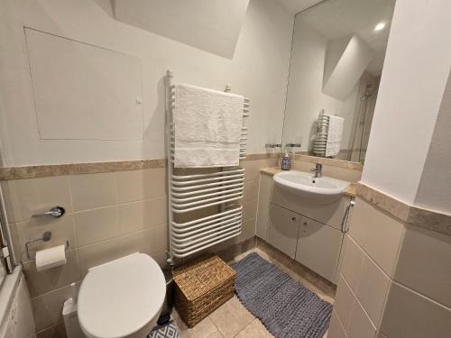 伦敦Apartment Near British Parliament的一间带卫生间和水槽的浴室