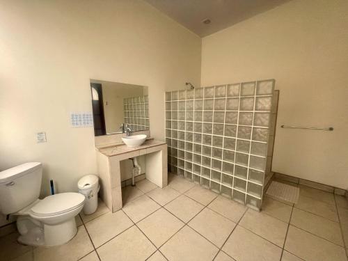 圣何塞哥斯达黎加酒店的一间带卫生间、水槽和镜子的浴室