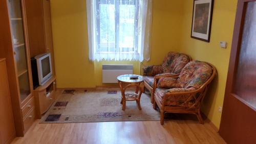 布尔诺Apartment Kamenná的客厅配有两把椅子、一张桌子和电视