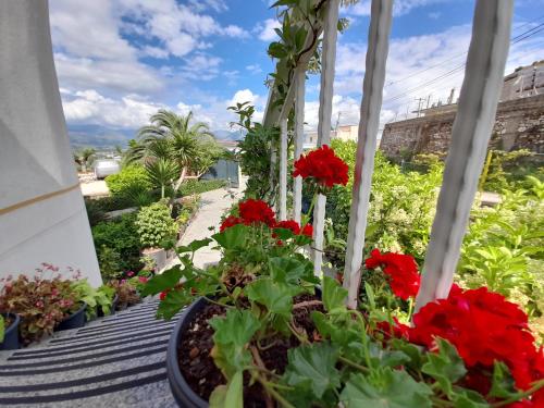 萨兰达Vila Marjana的阳台,在锅里放着红色的鲜花
