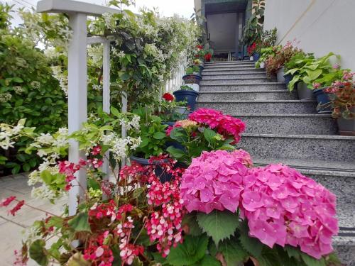 萨兰达Vila Marjana的种满鲜花和植物的楼梯