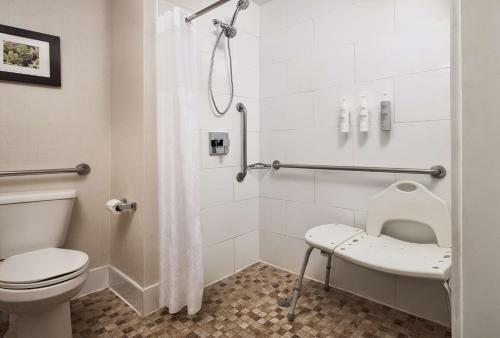 陶斯陶斯希尔顿恒庭酒店的一间带卫生间和淋浴的浴室