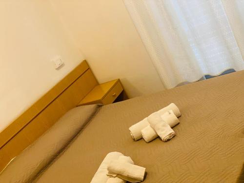 里米尼hotel iris的卧室内的床上的2条滚毛巾