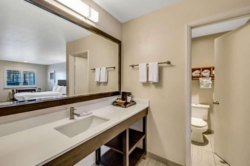 圣克鲁兹浮桥舒适客栈的一间带水槽、镜子和卫生间的浴室